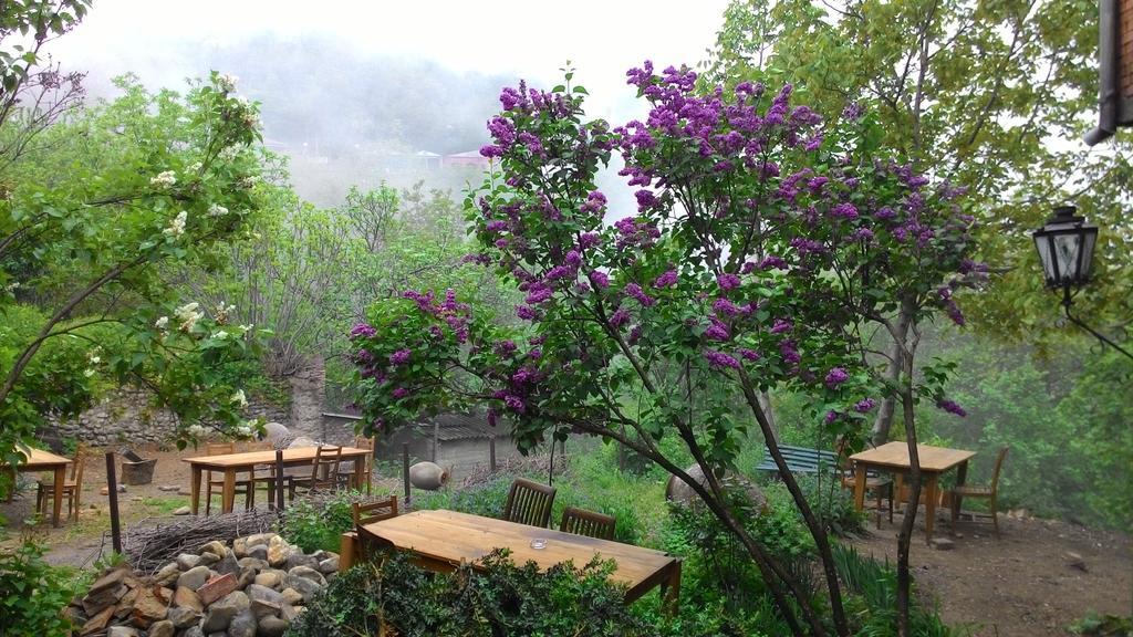 סינגאני Guest House Marani מראה חיצוני תמונה